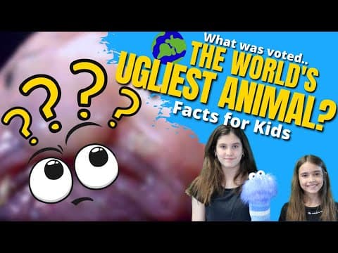 What is a BLOBFISH? - The Ugliest Animal in the World