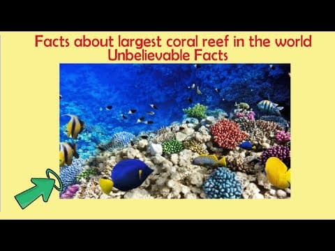 Name the largest coral reef in the world | GK Question with Answers 
