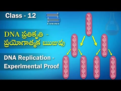 DNA ప్రతికృతి ప్రయోగాత్మక ఋజువు – DNA Replication | Biology Telugu