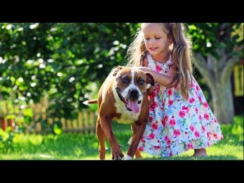 Age 4 physical milestones