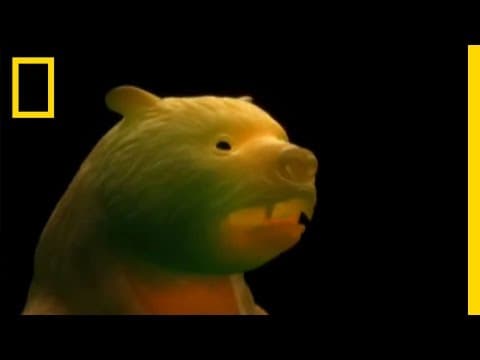 Giant Prehistoric Bear