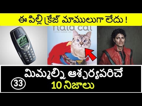 Top 10 Unknown Facts in Telugu | Interesting and Amazing Facts | Part 33 | Minute Stuff