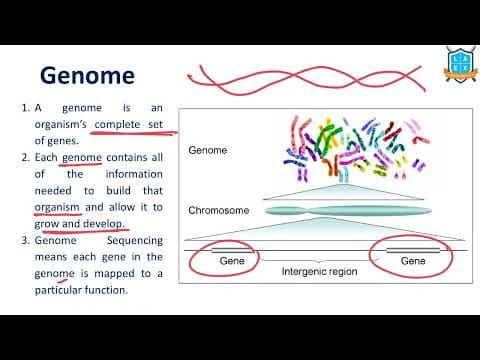 What is Genome ? || Genome అంటే ఏమిటి?