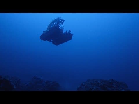 Into the Deep Unknown with deep sea biologist Diva Amon