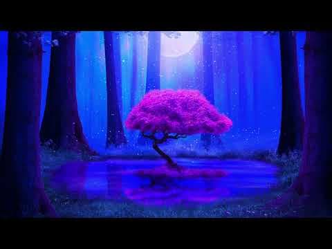 Deep Sleep Music Fall Asleep Easy - Bedtime Music - Nap Time - Quiet Time - Calming Meditation
