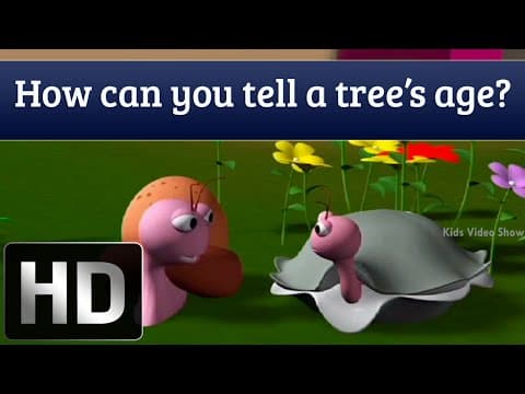 How to Determine the Age of a Tree? - General Knowledge for Kids