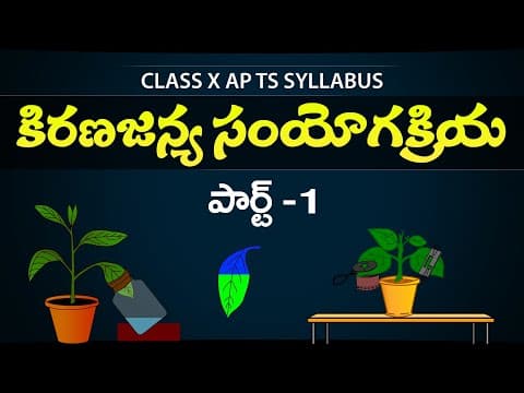 Kiranajanya samyogakriya 1 |Photosynthesis in telugu