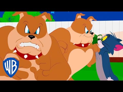 Tom and Jerry|Tom Vs SpikeWB Kids