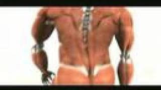 Incredible Human Machine-knowledge on muscle & bone movement