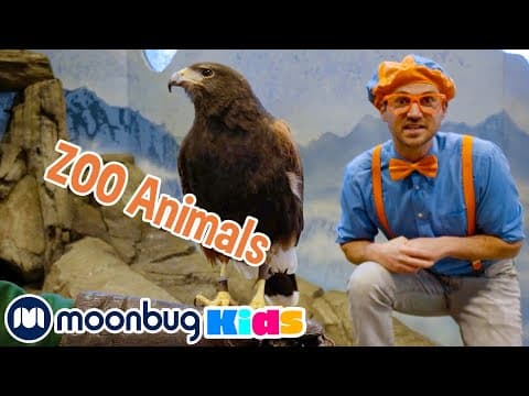 Blippi plays with the animals at the zoo - explore with blippi! - educational videos for toddlers