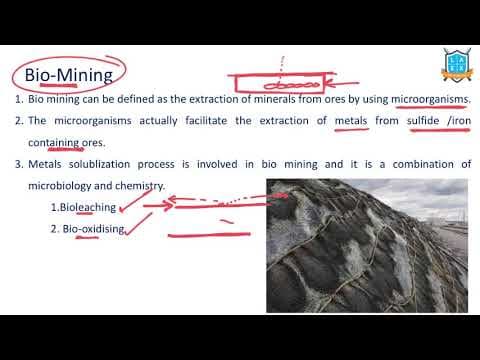 What is Bio Mining ? || Bio Mining అంటే ఏమిటి?