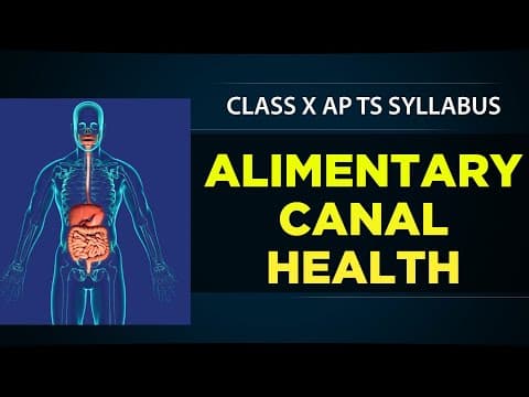 DIGESTIVE SYSTEM DISEASES in ENGLISH  -  Alimentary canal health  -  class 10th biology  -  science 10th