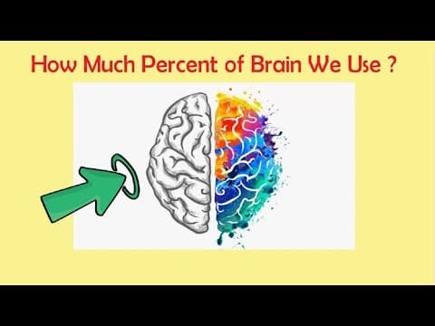 What percentage of your brain do you use?