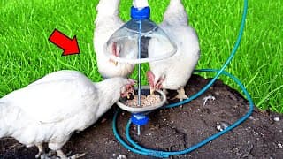 How to make a bird feeder DIY | Making a drinker and bird feeder from a 5-liter plastic bottle