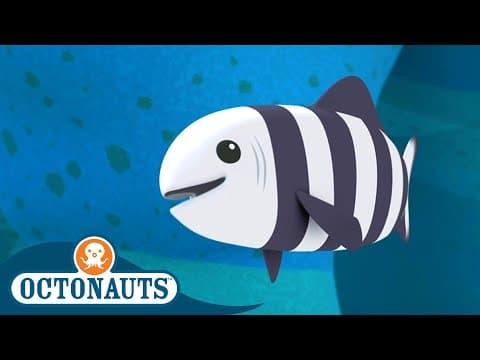 Hungry Pilot Fish and The Flying Fish
