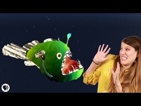 Why Do Deep Sea Creatures Look So Scary.