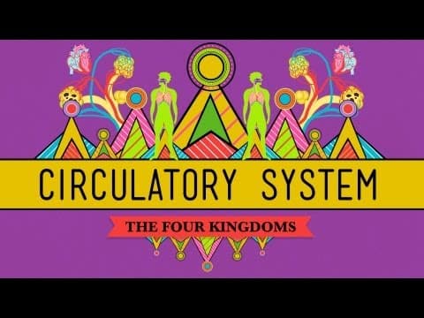 Circulatory & Respiratory Systems