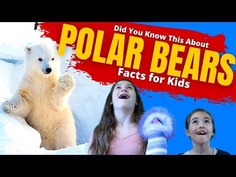 Polar Bears For Kids - Facts About Polar Bears