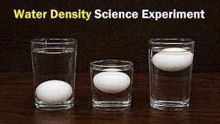 Water Density Science Experiment using Eggs & Salt Water