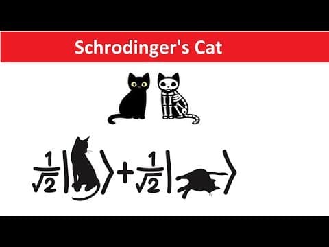 Schrodinger's Cat Explained in Hindi - Quantum Physics, Many World Theory &amp; Reality