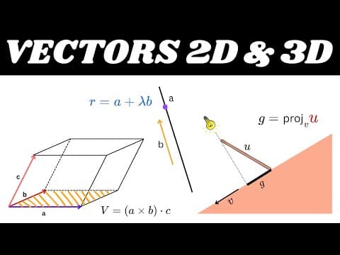 Everything You Need To Know About Vectors - Part-2