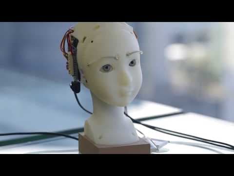 Gazing into the eyes of SEER|The Simulative Emotional Expression Robot