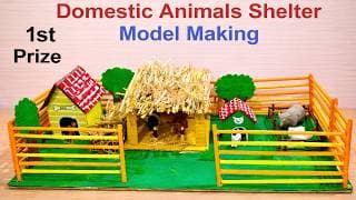 domestic animals shelter model making using cardboard and waste materials