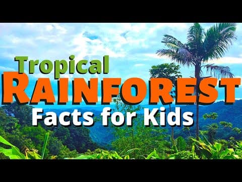 Rainforest Facts  - All About the Amazon & Other Tropical Rainforests