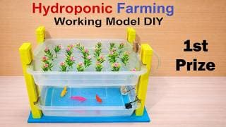 hydroponic farming working model | science project | vertical agriculture