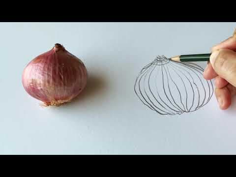 Cross contour lines, a drawing technique that improves how we see