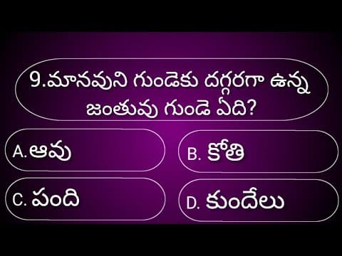 General knowledge Quiz||Gk quiz telugu||Brain test||Episode-19||Unknown facts