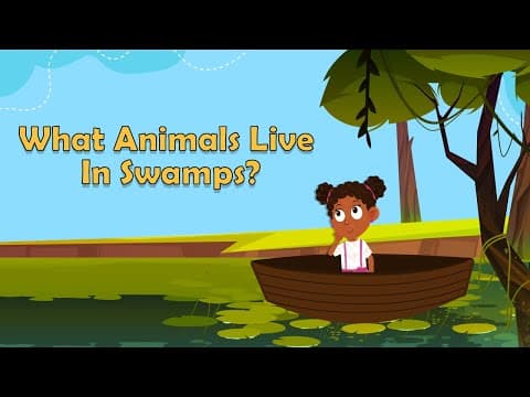 What Animals Live In Swamps? - Swamp Animals - Animal Facts - Facts for Kids