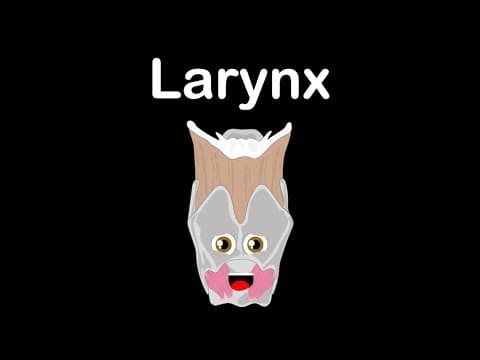 Human Body Larynx Anatomy Song Human Body Systems