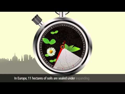 Soil 101 from the U.N. Food and Agriculture Organization