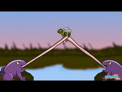 Western Ghats Animals and Birds - Forest Facts for Kids | Educational Videos by Mocomi