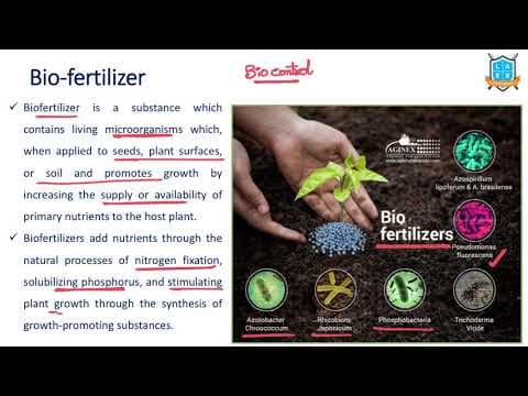 What is Bio fertiliser ? || Bio fertiliser అంటే ఏమిటి?