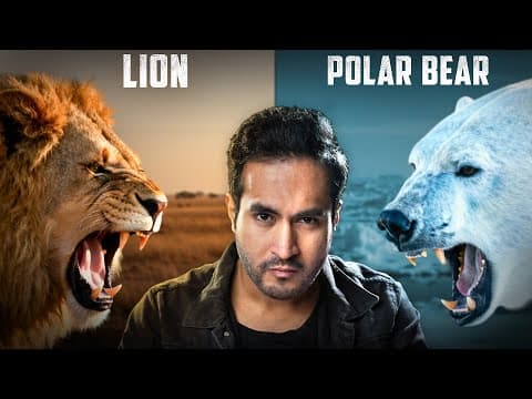 LION vs POLAR BEAR | Who would Win?