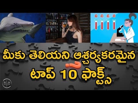 Top 10 Interesting Facts In Telugu | Amazing and Unknown Facts In Telugu |My Show My Talks