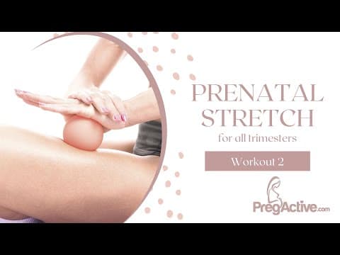 Pregnancy stretches for lower back pain- workout 2