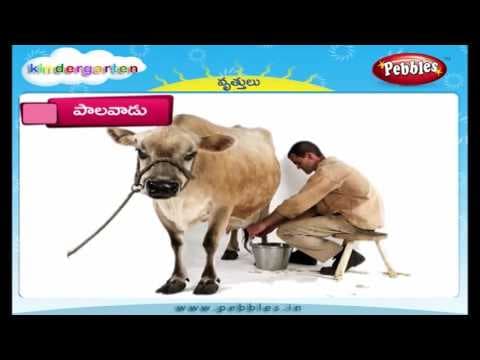 Jobs | Kindergarten Kids | Kindergarten Learning Video in Telugu