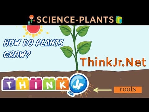 How do plants grow - science for kids