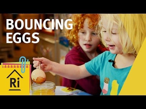 How to make bouncing eggs, an ExpeRimental activity