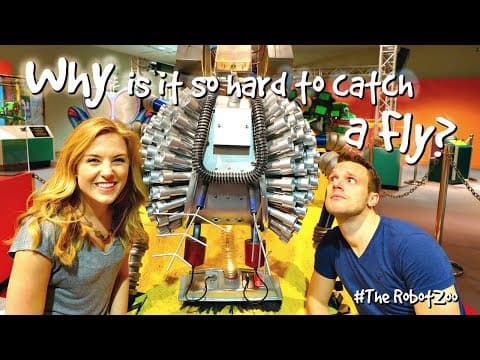 Why is it so hard to catch a fly. - The Robot Zoo - Maddie Moate