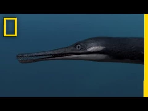 Sea Monsters 4