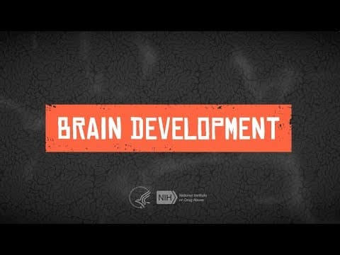 Teen brain development