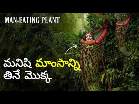 Top 20 Interesting Facts In Telugu  -  Facts in Telugu New  -  Latest Telugu Facts