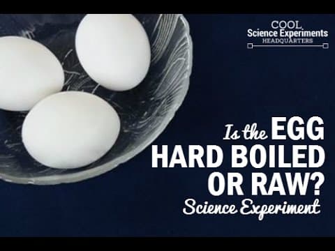 How to Tell a Hard Boiled Egg from a Raw Egg Science Experiment