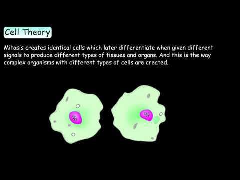 Cell Theory | Cells |Basic Tenets of Cell Theory