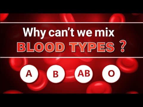 Why can't we mix Blood Types? | Science Curiosity
