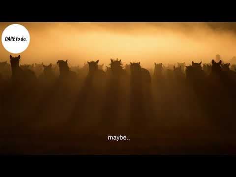 THE FARMER - story motivation